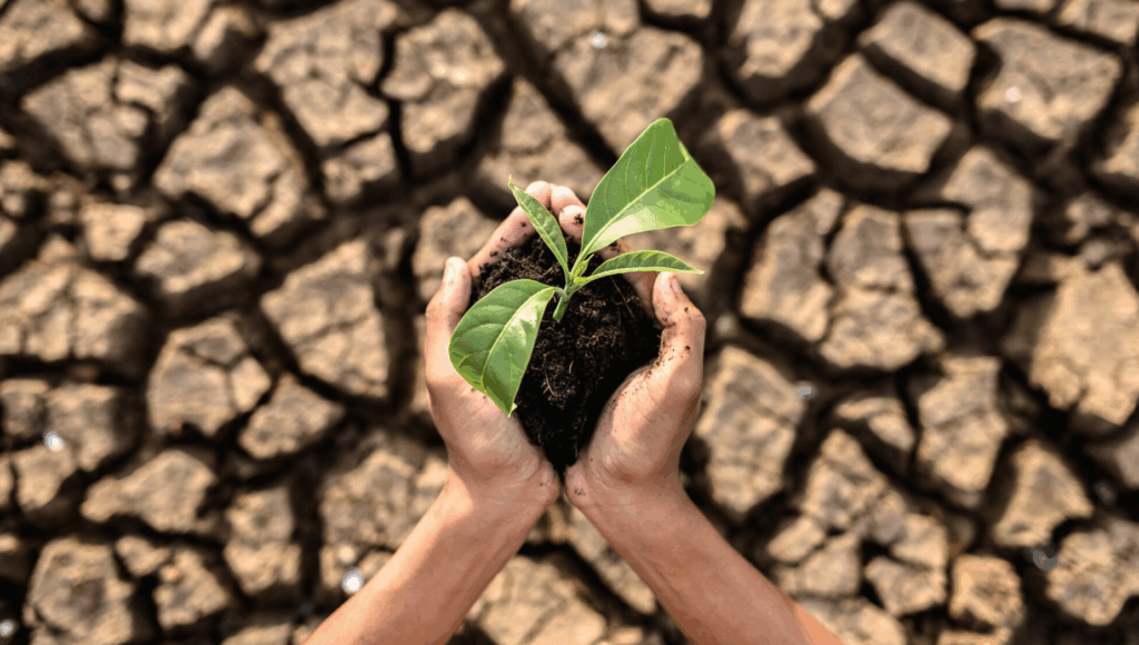 Latest tendencies in agrifood: climate shocks and resilience